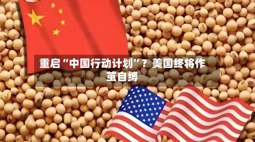 重启“中国行动计划”？美国终将作茧自缚-第3张图片