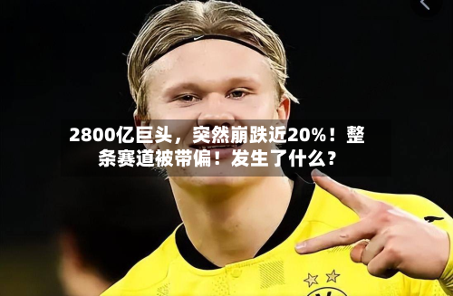 2800亿巨头	，突然崩跌近20%！整条赛道被带偏！发生了什么？-第2张图片