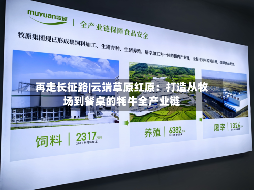 再走长征路|云端草原红原：打造从牧场到餐桌的牦牛全产业链-第2张图片