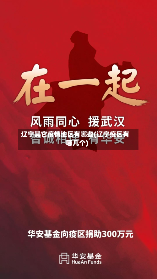 辽宁其它疫情地区有哪些(辽宁疫区有哪几个)-第2张图片