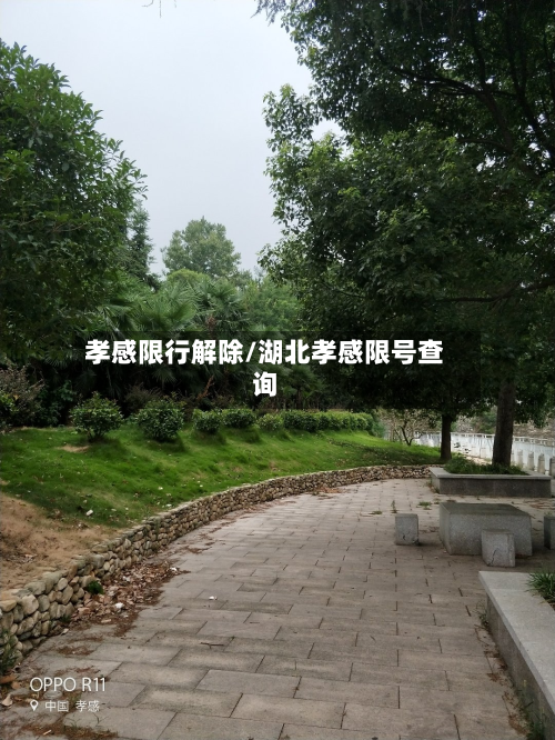 孝感限行解除/湖北孝感限号查询-第2张图片