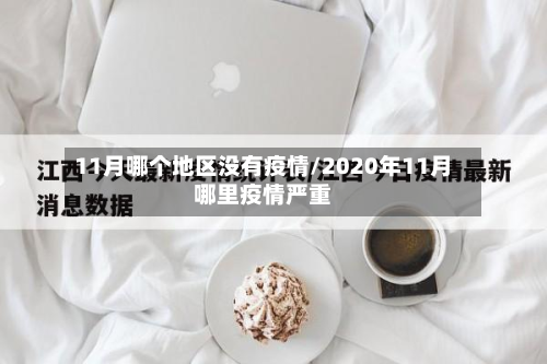 11月哪个地区没有疫情/2020年11月哪里疫情严重-第3张图片