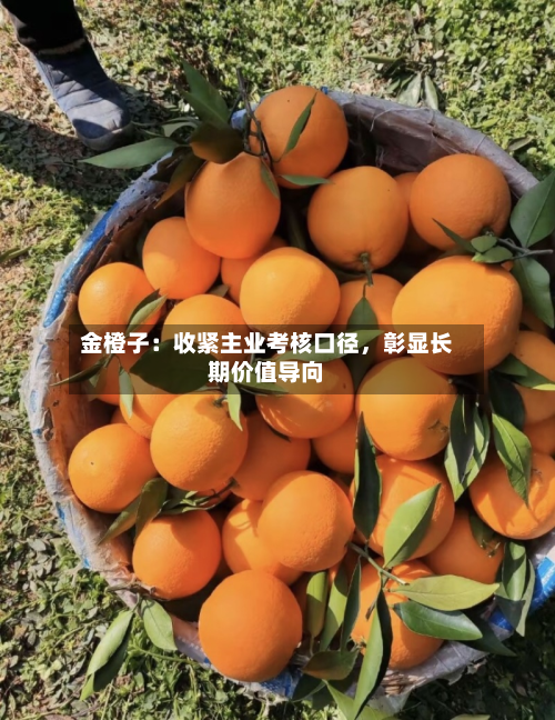 金橙子：收紧主业考核口径，彰显长期价值导向-第2张图片