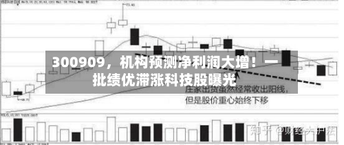 300909，机构预测净利润大增！一批绩优滞涨科技股曝光-第2张图片