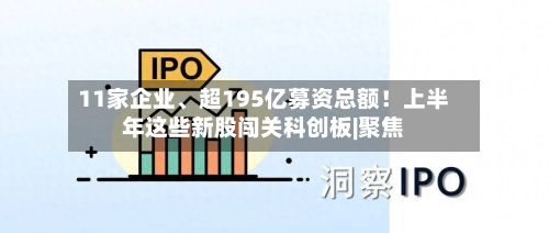 11家企业、超195亿募资总额！上半年这些新股闯关科创板|聚焦-第3张图片