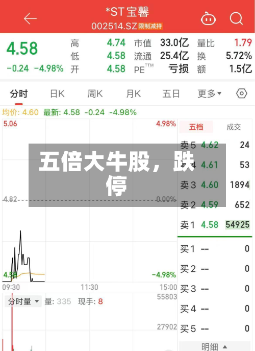 五倍大牛股，跌停-第3张图片