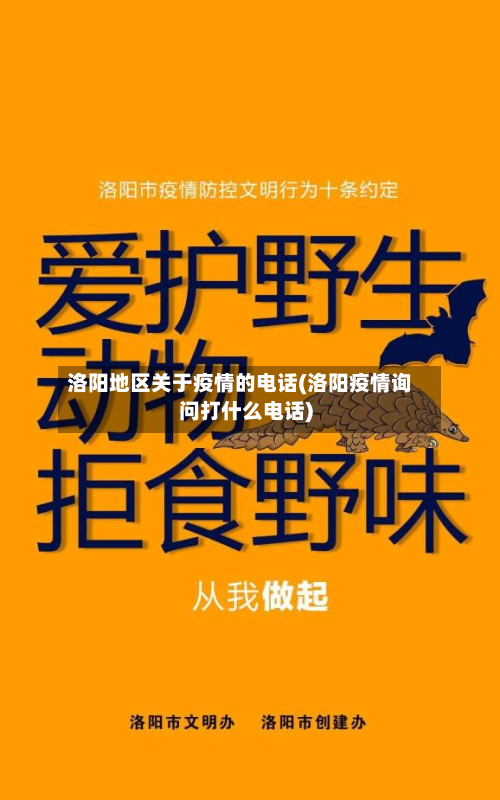 洛阳地区关于疫情的电话(洛阳疫情询问打什么电话)-第1张图片