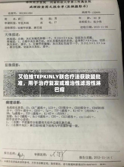 艾伯维TEPKINLY联合疗法获欧盟批准，用于治疗复发或难治性滤泡性淋巴瘤-第2张图片