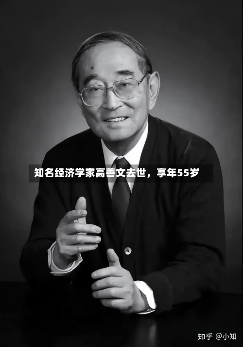 知名经济学家高善文去世，享年55岁-第2张图片