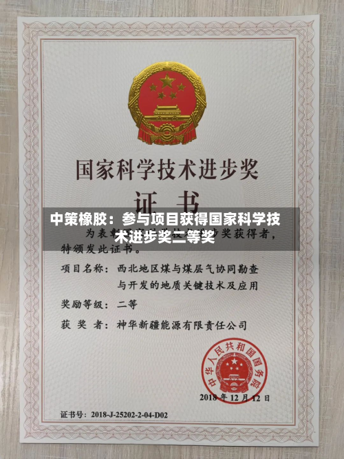 中策橡胶：参与项目获得国家科学技术进步奖二等奖