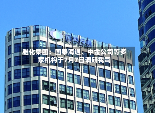 雅化集团：国泰海通、中金公司等多家机构于7月7日调研我司-第3张图片