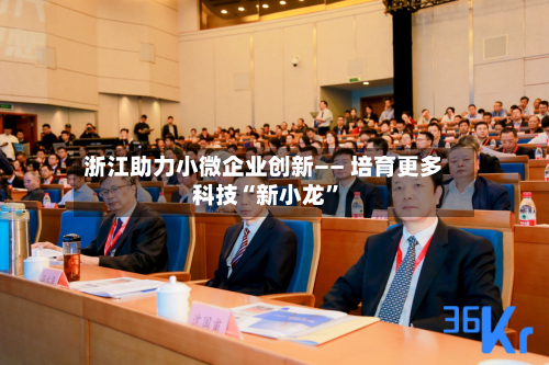 浙江助力小微企业创新—— 培育更多科技“新小龙	”-第3张图片