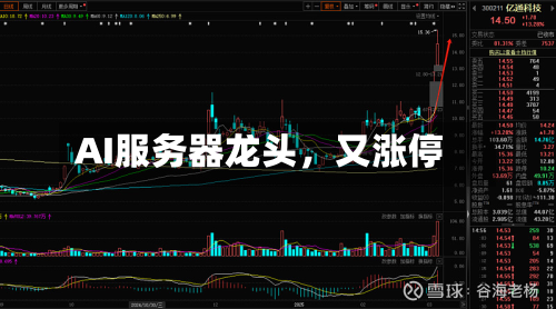 AI服务器龙头，又涨停-第3张图片