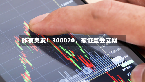 昨夜突发！300020，被证监会立案