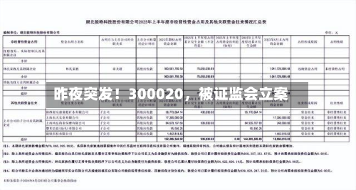 昨夜突发！300020，被证监会立案-第3张图片