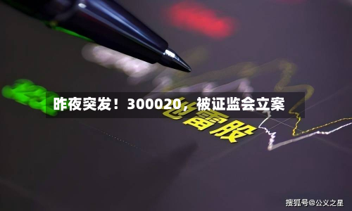 昨夜突发！300020，被证监会立案-第2张图片