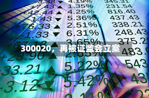 300020，再被证监会立案-第2张图片