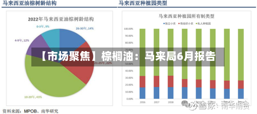 【市场聚焦】棕榈油：马来局6月报告-第3张图片
