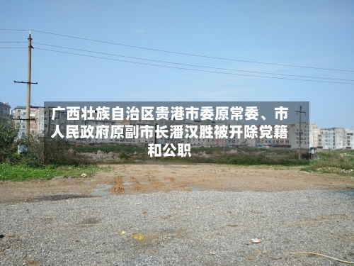 广西壮族自治区贵港市委原常委、市人民政府原副市长潘汉胜被开除党籍和公职-第3张图片