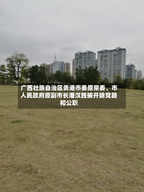广西壮族自治区贵港市委原常委	、市人民政府原副市长潘汉胜被开除党籍和公职-第2张图片