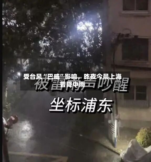 受台风“巴威”影响，昨夜今晨上海普降中雨-第3张图片