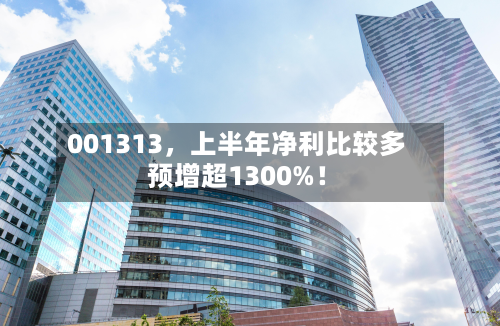 001313	，上半年净利比较多预增超1300%！-第3张图片