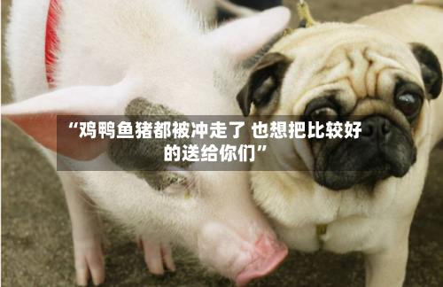“鸡鸭鱼猪都被冲走了 也想把比较好的送给你们”-第3张图片