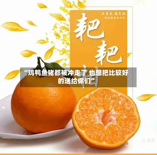 “鸡鸭鱼猪都被冲走了 也想把比较好的送给你们	”-第2张图片