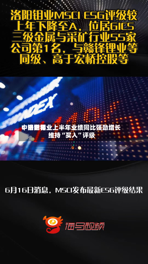 中银世界：洛阳钼业上半年业绩同比强劲增长 维持“买入	”评级-第3张图片