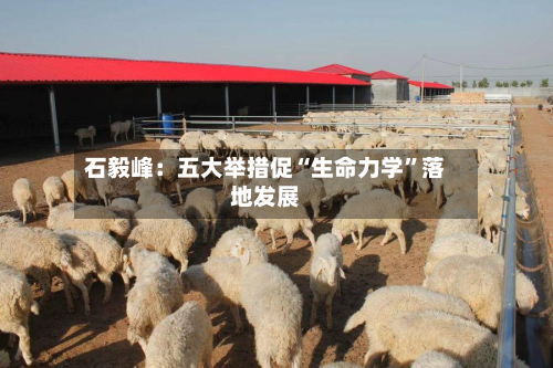 石毅峰：五大举措促“生命力学	”落地发展-第2张图片