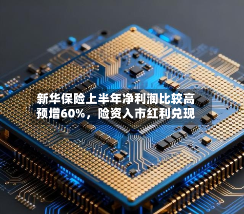 新华保险上半年净利润比较高预增60%，险资入市红利兑现-第3张图片