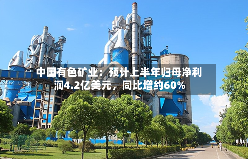 中国有色矿业：预计上半年归母净利润4.2亿美元，同比增约60%-第2张图片