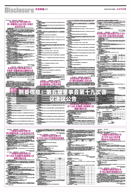 熙菱信息:第五届董事会第十九次会议决议公告-第2张图片