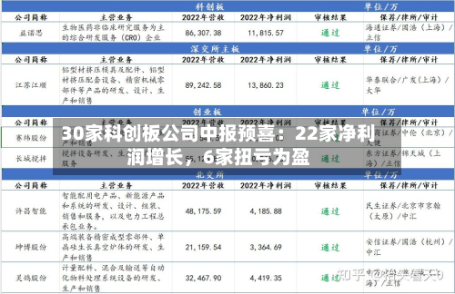 30家科创板公司中报预喜：22家净利润增长，6家扭亏为盈-第2张图片