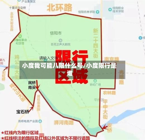 小度我可能八限什么号/小度限行是谁-第2张图片