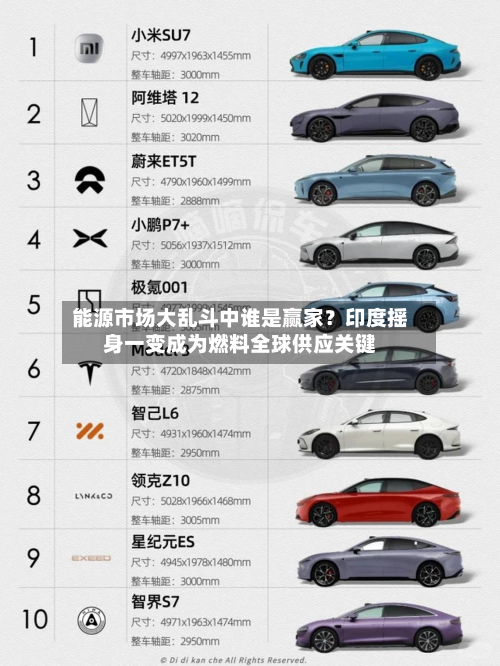 能源市场大乱斗中谁是赢家？印度摇身一变成为燃料全球供应关键-第2张图片