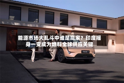 能源市场大乱斗中谁是赢家？印度摇身一变成为燃料全球供应关键-第1张图片