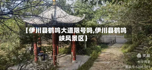【伊川县鹤鸣大道限号吗,伊川县鹤鸣峡风景区】-第1张图片