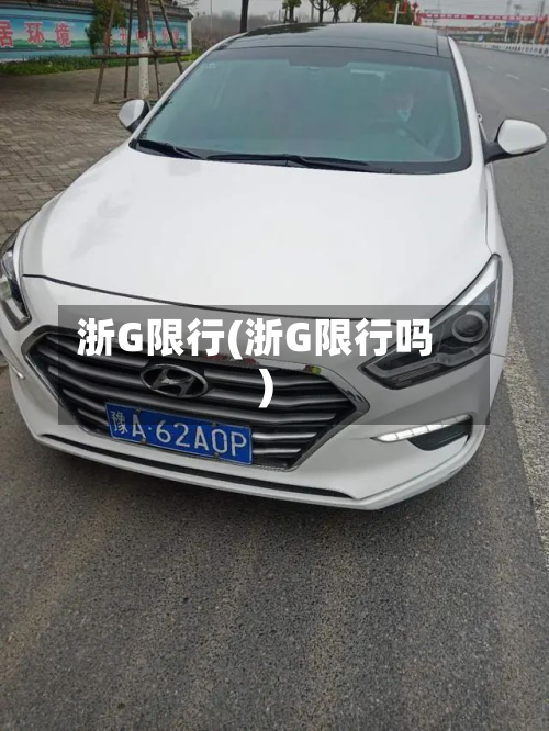 浙G限行(浙G限行吗)-第1张图片