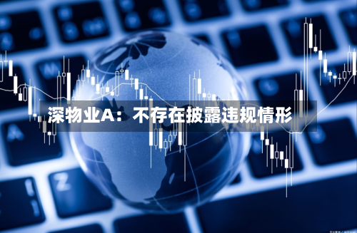 深物业A：不存在披露违规情形