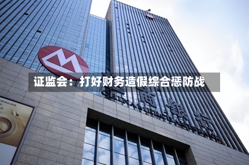  *** ：打好财务造假综合惩防战