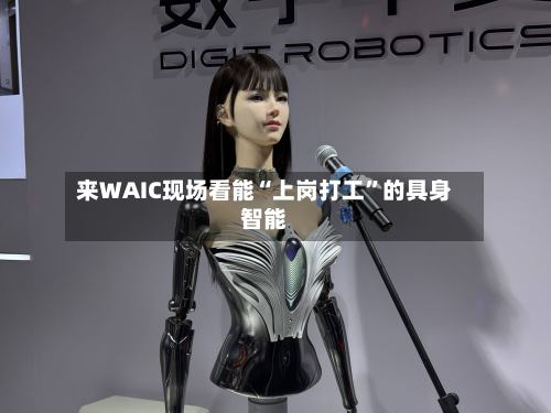 来WAIC现场看能“上岗打工”的具身智能-第3张图片