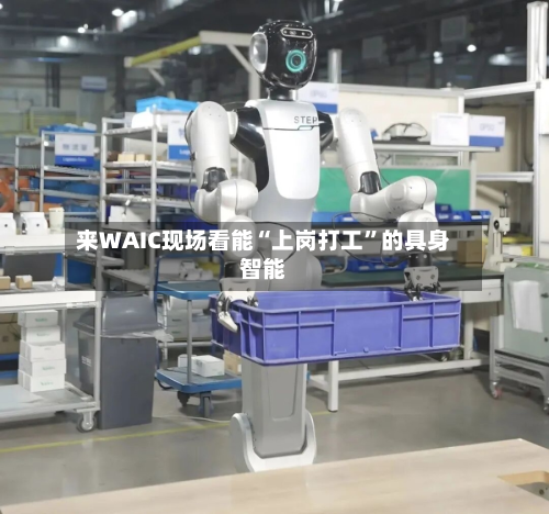 来WAIC现场看能“上岗打工”的具身智能-第2张图片