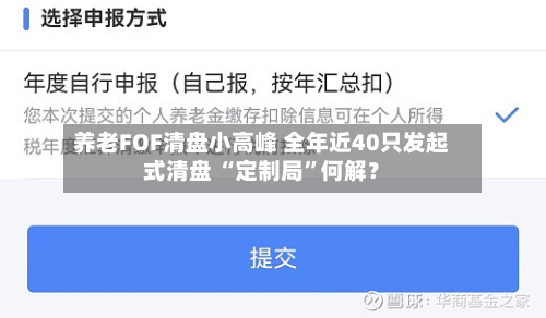 养老FOF清盘小高峰 全年近40只发起式清盘 “定制局”何解？-第2张图片