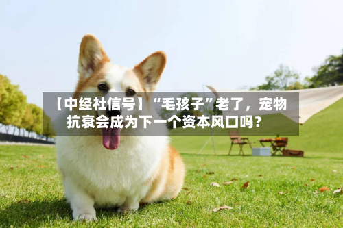 【中经社信号】“毛孩子”老了，宠物抗衰会成为下一个资本风口吗？-第2张图片