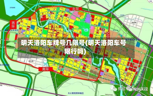 明天洛阳车牌号几限号(明天洛阳车号限行吗)-第1张图片