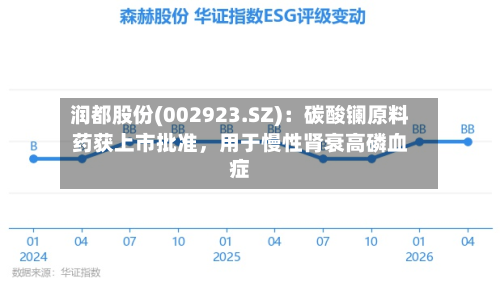 润都股份(002923.SZ)：碳酸镧原料药获上市批准	，用于慢性肾衰高磷血症-第2张图片