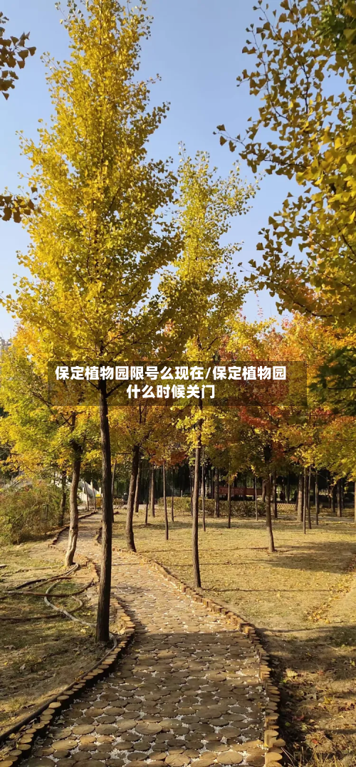 保定植物园限号么现在/保定植物园什么时候关门-第1张图片