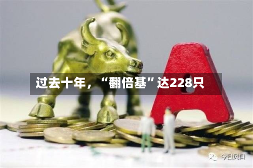 过去十年，“翻倍基”达228只-第2张图片