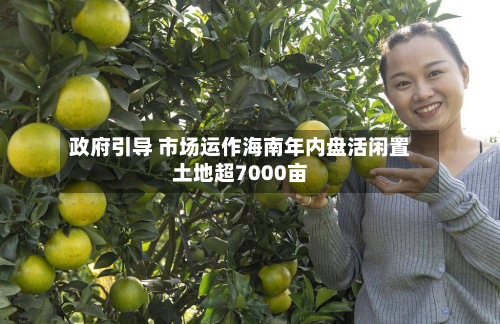  *** 引导 市场运作海南年内盘活闲置土地超7000亩